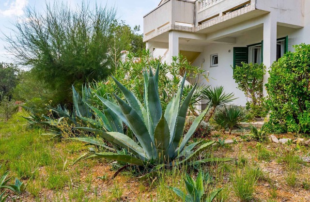 Holiday apartment 70 m from the sea
