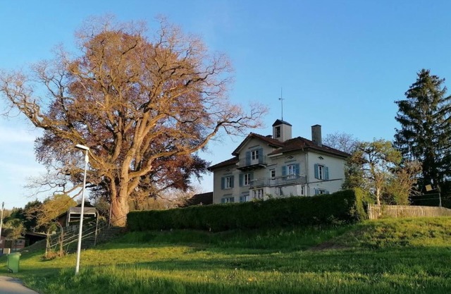 Holiday apartment Bottighofen for 1 - 2 persons with 1 bedroom - Holiday apartment