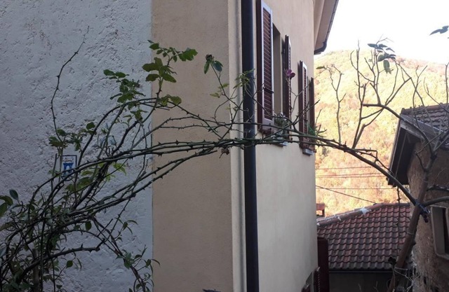 Holiday apartment Cabbio for 1 - 6 persons with 2 bedrooms - Holiday apartment