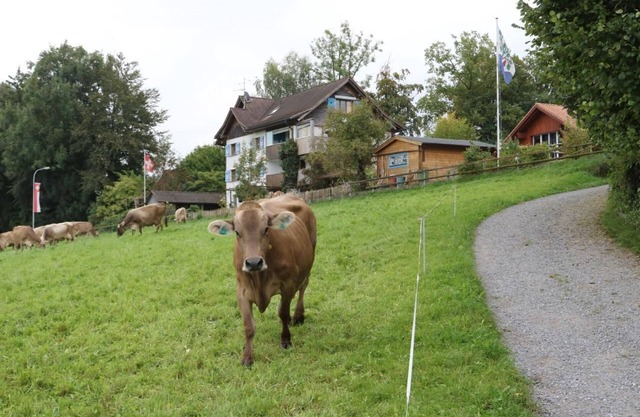 Holiday apartment Neukirch for 1 - 3 persons with 1 bedroom - Holiday apartment