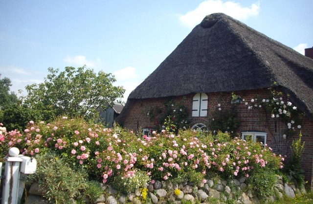 Holiday apartment Niebüll for 1 - 8 persons with 3 bedrooms - Holiday apartment