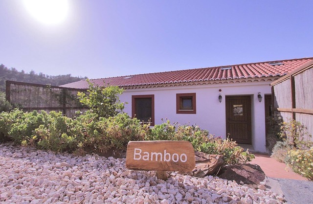 Holiday apartment Odeceixe for 1 - 4 persons with 1 bedroom - Farmhouse