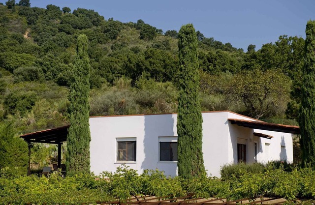 Holiday apartment surrounded by Mediterranean nature with grill