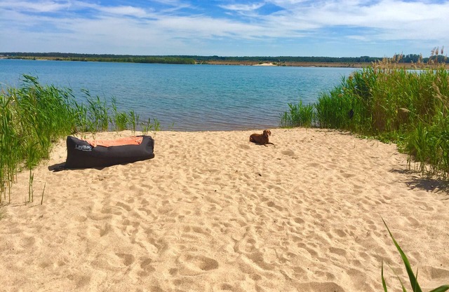 Holiday at the lake near Leipzig/Sauna- Cozy holiday home on the private beach