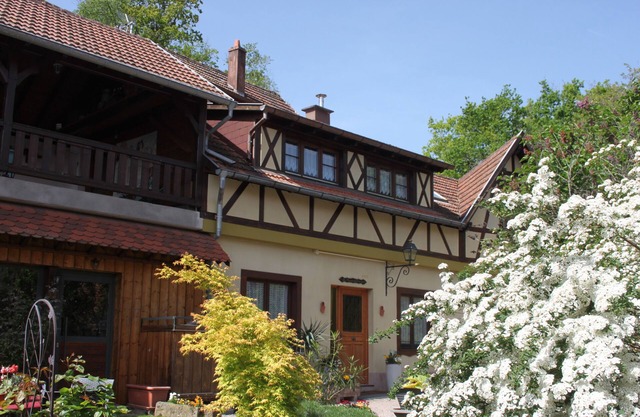 Holiday Home 3* in Alsace, quiet 15 mm from tourist sites, ideal for families