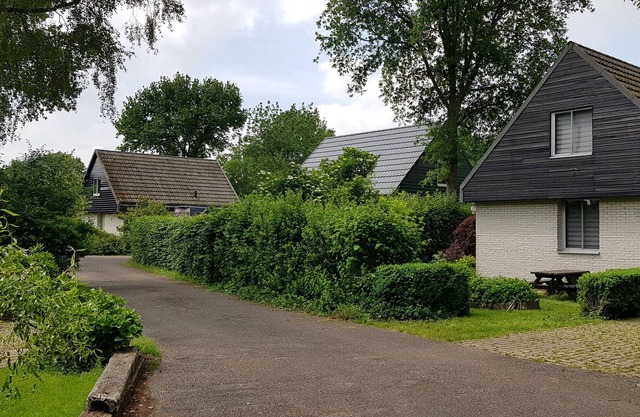 Holiday home Drents-Friese Wold