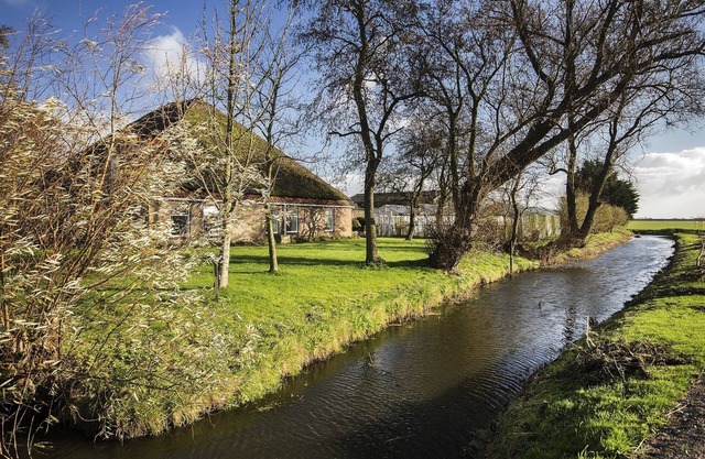 Holiday home Het Vosgen, farmhouse between the bulb fields near the sea
