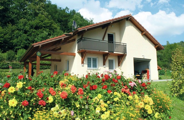 Holiday Home in Vosges with Garden and BBQ