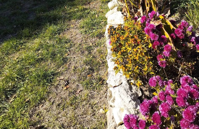 Holiday home near villereal large garden (pets welcome!)