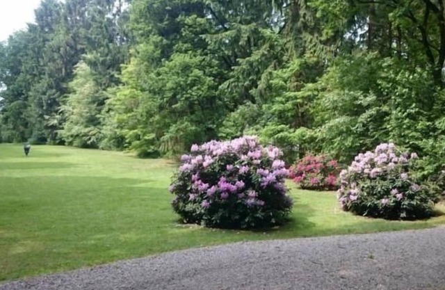 Holiday house Gudendorf for 1 - 4 persons with 2 bedrooms - Holiday home