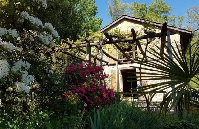 Holiday house Sala Capriasca for 1 - 6 persons with 2 bedrooms - Detached holiday house