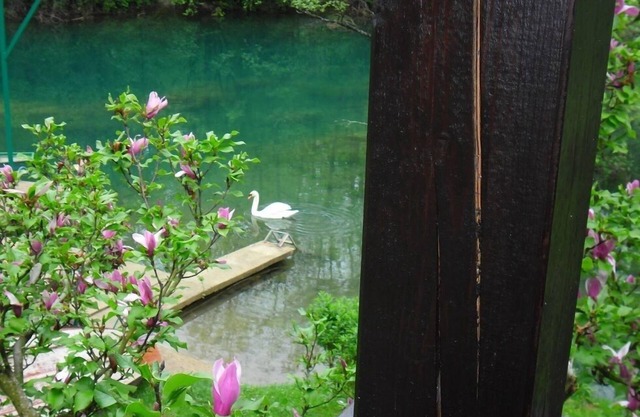 Holiday house " Sonja" on the river Mrežnica for relaxing or active holidays