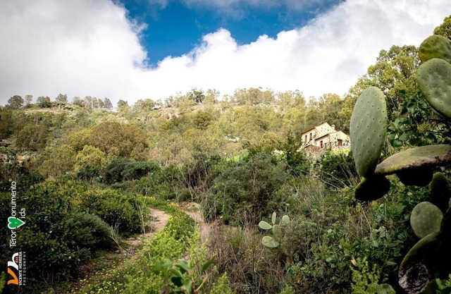 Holiday house Teror for 1 - 6 persons with 3 bedrooms - Farmhouse