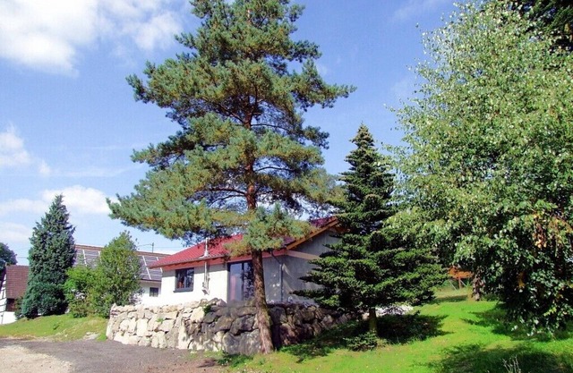 Holiday in peace immersed in nature in new bungalow