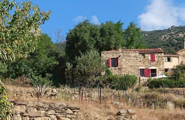 Holiday in the wildlife park of Occitania, southern France