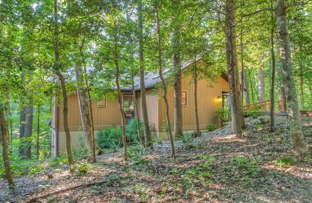 Holly Cabin on Town Creek, in the NE Mountains of Blairsvillen2 WEEKS MAX STAY!