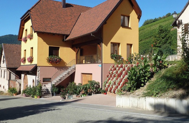 Homerez - Apartment in Bernardvillé