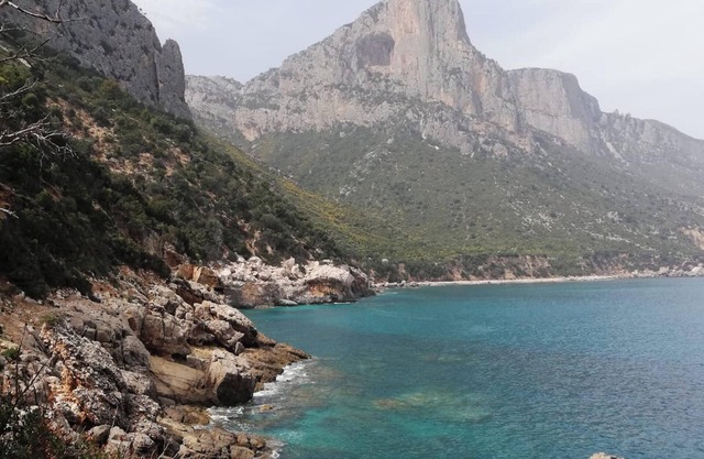 Homerez - Apt in Loceri, city view, parking