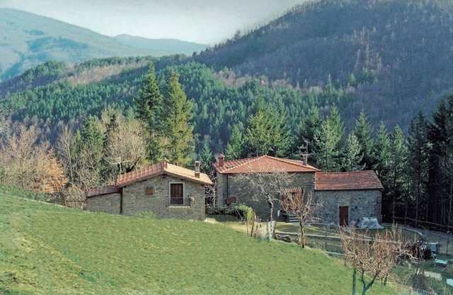 Homerez - Cozy House in Bibbiena + Pool and Garden