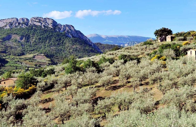 Homerez - House for 6 ppl. with shared pool and terrace at La Roche-sur-le-Buis