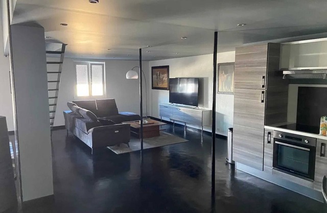 Homerez - Large Apartment in Sancheville
