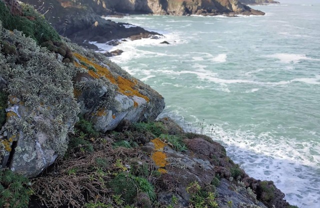 Homerez - Rustic House in Guimaëc with Garden and View