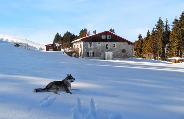 Homerez - Secluded quiet house in Septmoncel with mountain view