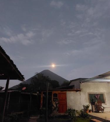 Hostal Bullshark