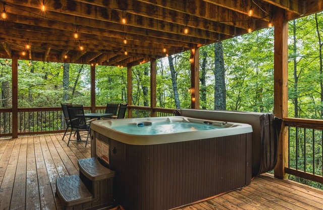 Hot Tub EV Charger Golden Tee Gig WiFi Pool Tennis