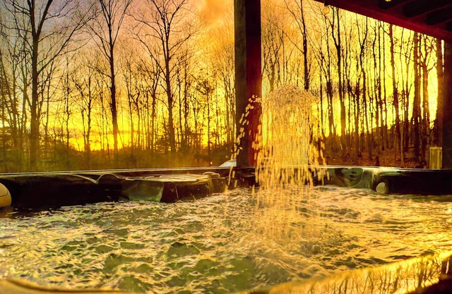 HOT TUB w CA King beds Acres of & secluded. Pymt plan, dogs welcome