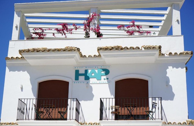 Hotel Avenida Playa