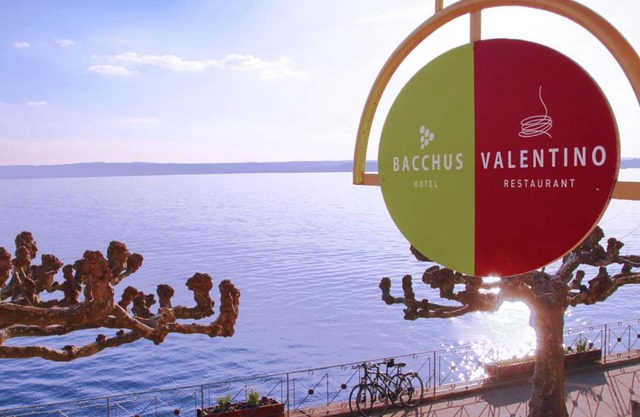 Hotel Bacchus am See