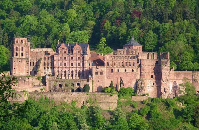 Hotel Dachsenfranz