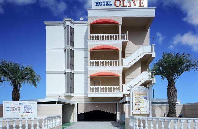 Hotel Fine Olive Sakai
