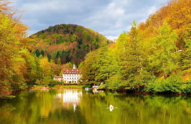 Hotel Pfälzer Wald