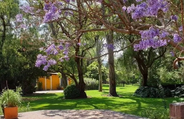 Hotel Rancho San Juan Teotihuacan