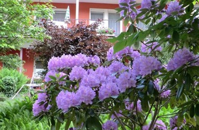 Hotel Sonnenhof
