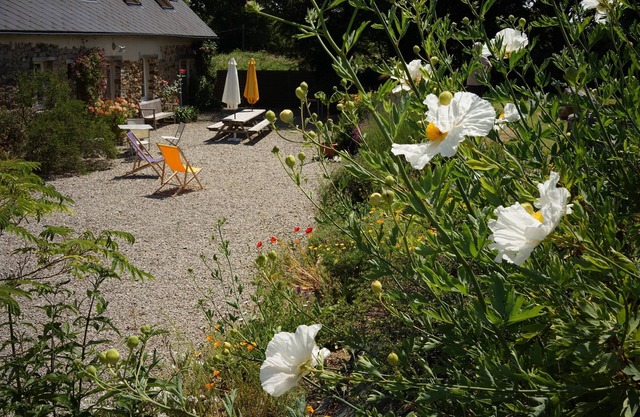 House with character, terrace, garden, 5000 sq.m, 10 min from beaches and parks