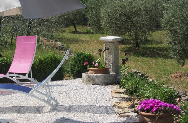 House in the heart of green Provence, in the middle of nature, pets welcome!