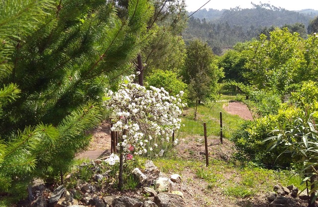 House Milhariça, Figueiro dos Vinhos