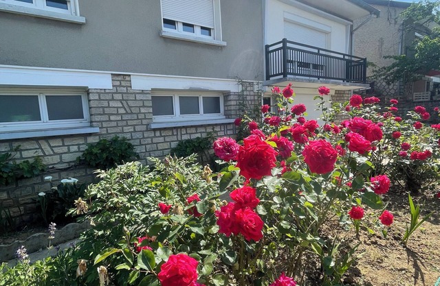 House with garden