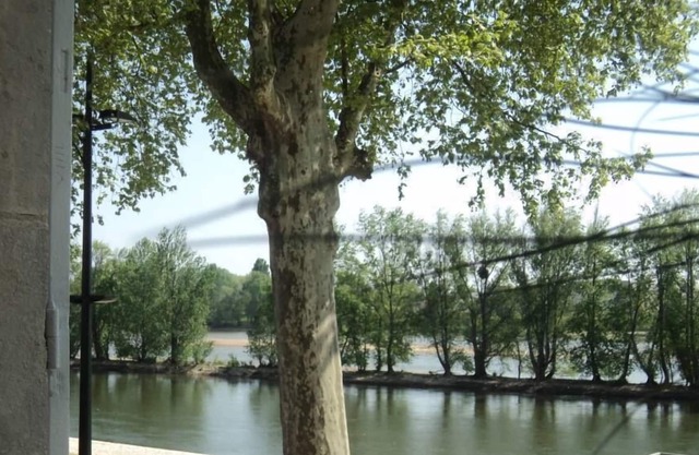 House with character overlooking the Loire with garden