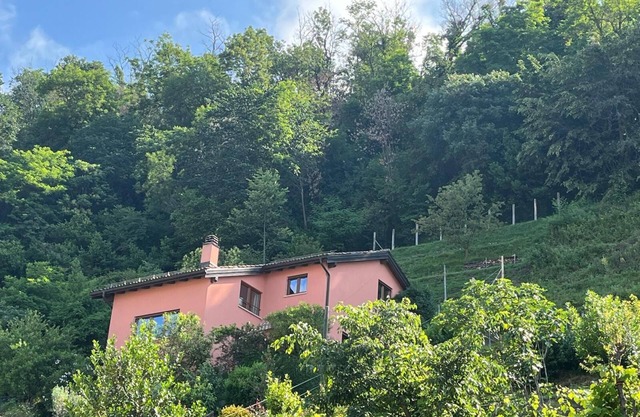 House with garden in the old town of Mendrisio for summer 2025