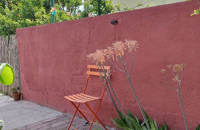House with large garden in city center, cultural district, 15 minutes from the beach.