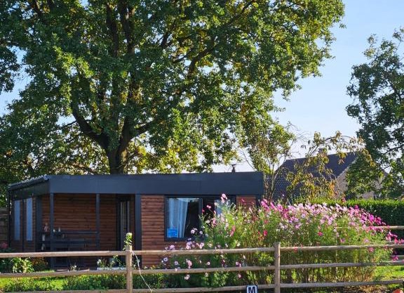 Houten huisje tussen paarden