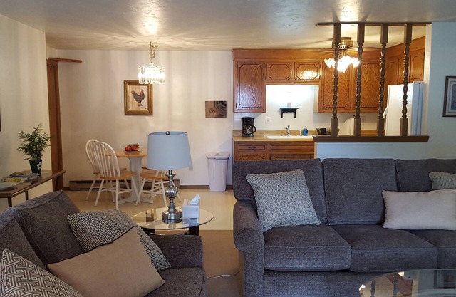 Huge Condo! Private Garage! WiFi. OPEN CONCEPT. Max 1 person, or 1 couple.