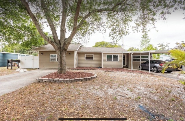 HUGE UPDATED & CLEAN Studio Apartment, Downtown & Beaches Nearby!