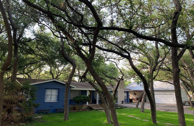 HunterLodge near Gruene