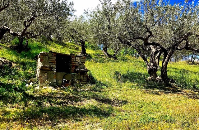 I 3 falchi Bed & Breakfast