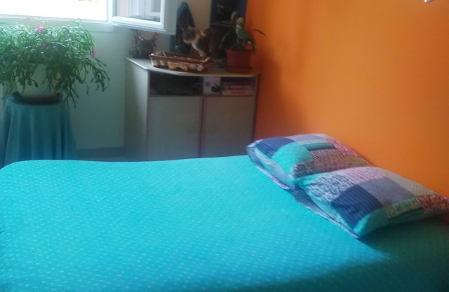 I rent a room for two people in a single-storey house in a quiet area.